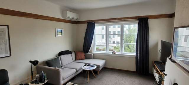  5/4 Oak Park Avenue Te Aro_2