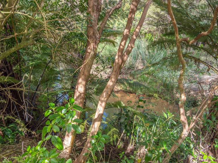 1 Lori Lane Coopers Beach_25