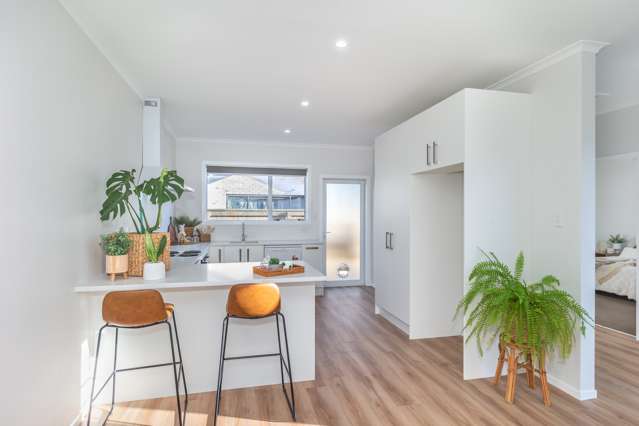 19 Dudley Street Levin_3