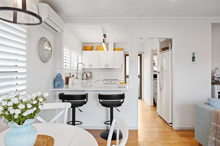 21b Nukumea Common Orewa_9