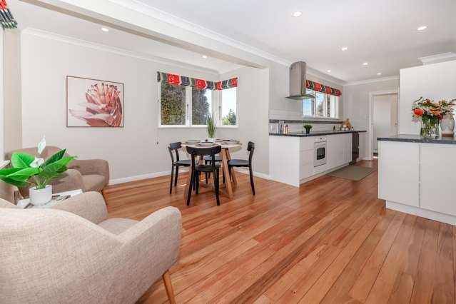 36 Glenmore Street Glenleith_2