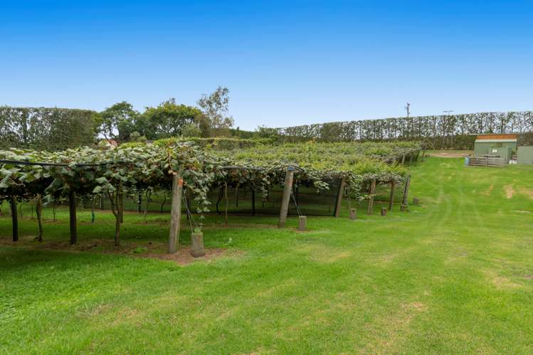 560 Belk Road Kaimai_7