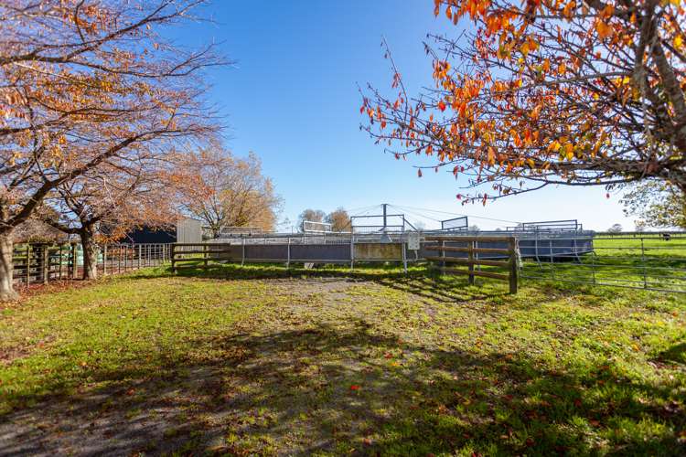 1463 Alexandra Road Waharoa_8