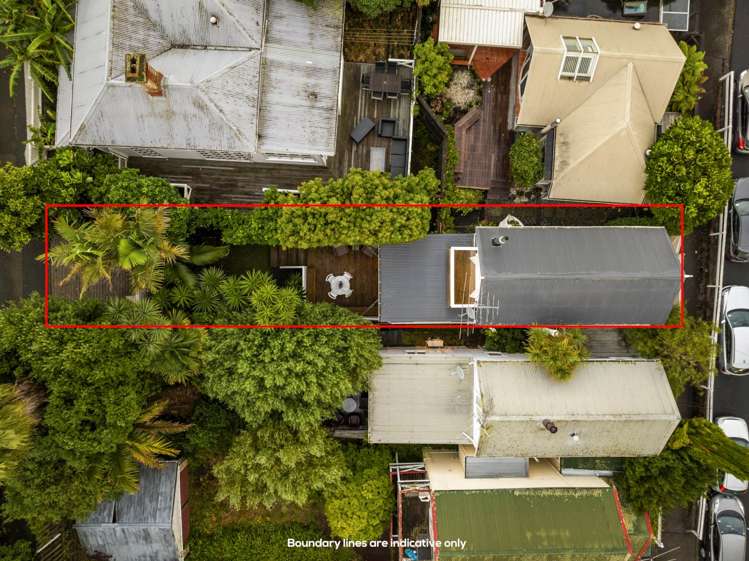 23 Douglas Street Ponsonby_19