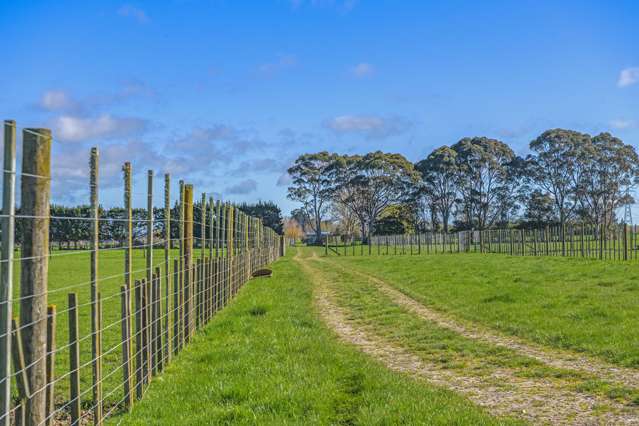 318 Aorangi Road Aorangi_2
