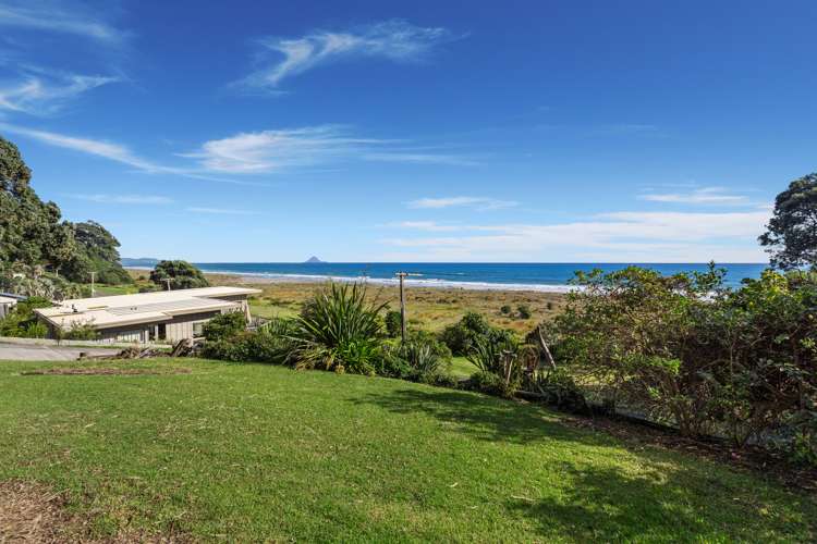 263 Ohiwa Beach Road Opotiki and Surrounds_5