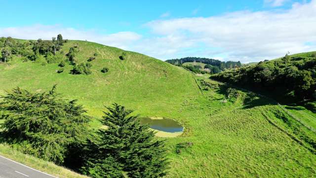 1793 Te Uri Road Rangitikei Surrounds_4