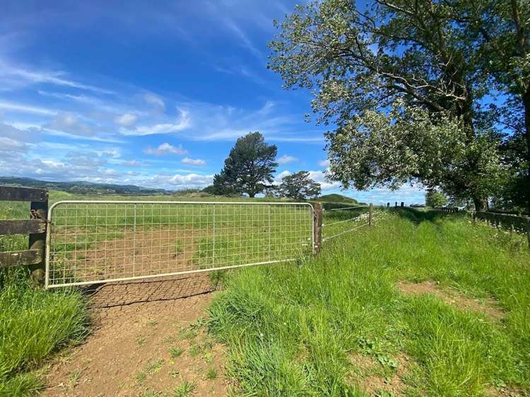 1 Webb Street Pukekohe_15