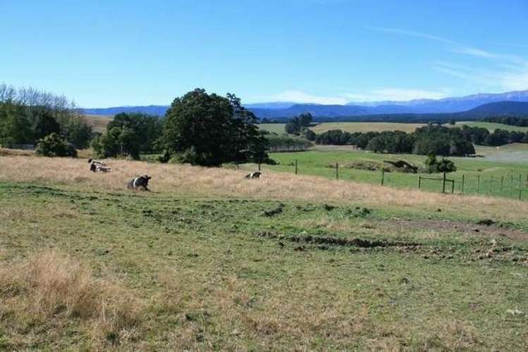 246 Howard Valley Road Kahurangi National Park_18