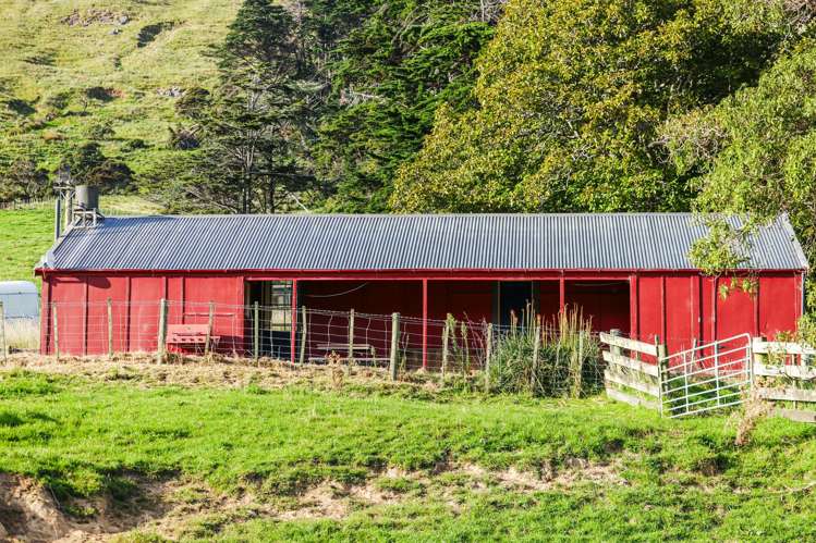 461 Goughs Road Goughs Bay_10