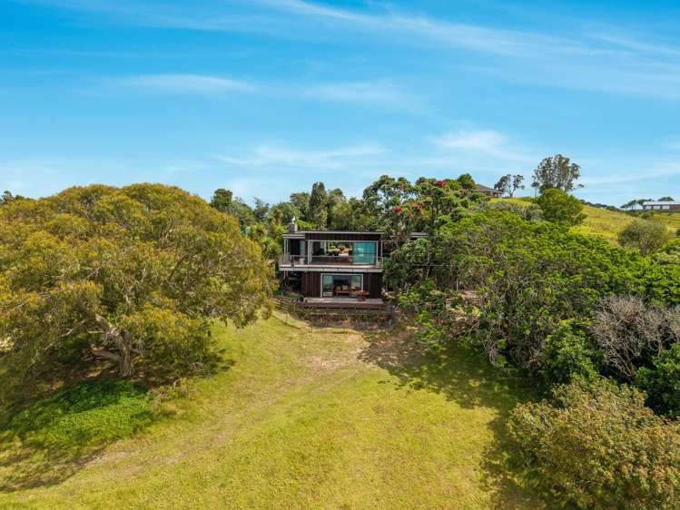 - Moturoa Island Russell_25