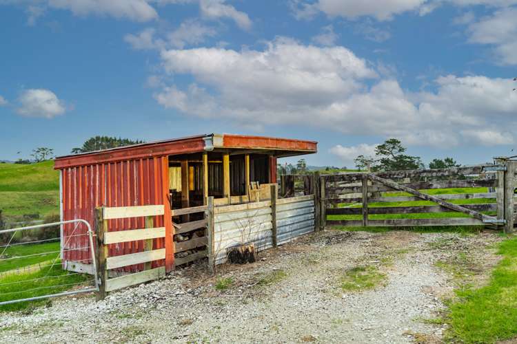 40 Borrows Road Wellsford_12