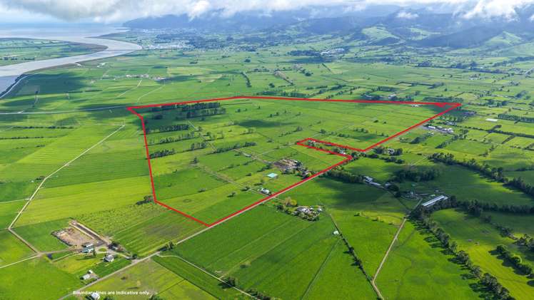 264 Matatoki Road Matatoki_31