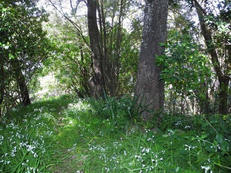 39a Childrens Bay Road Takamatua_14