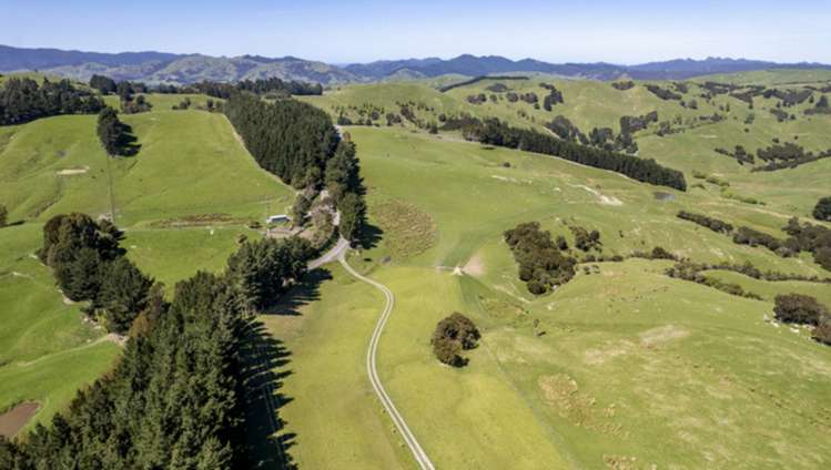 7 Hikawera Road Hinakura_1