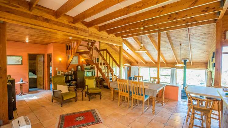 20 La Trobe Track Karekare_9