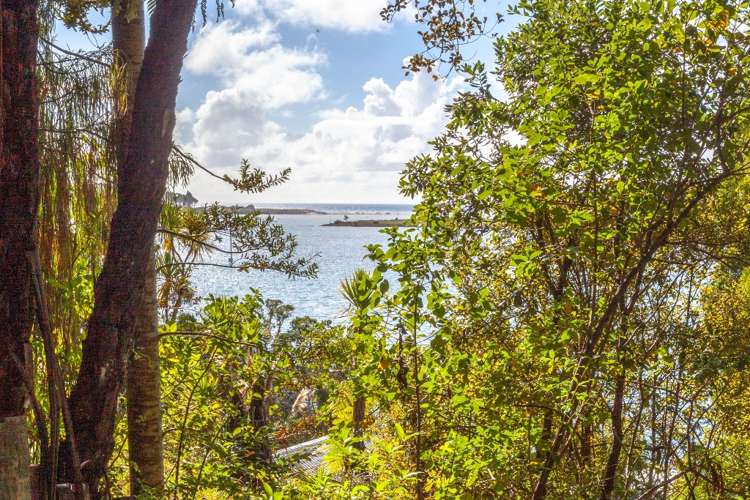 237 Opoutere Road Opoutere_12