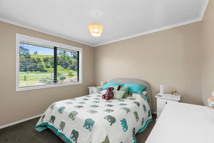 321 Horahora Road Hauraki Surrounds_16
