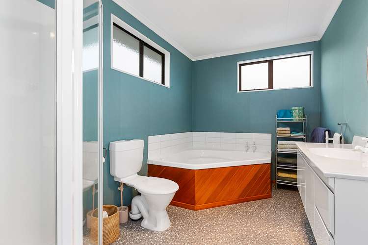 52 Scobie Road Waverley_15