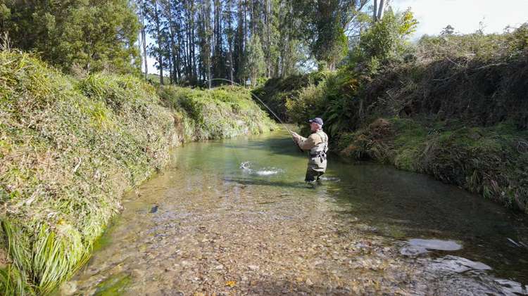 80 Hampson Place Hamurana_2