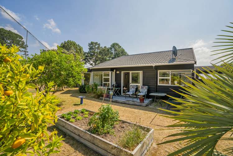 11/23 Kennedy Park Drive Pauanui_11