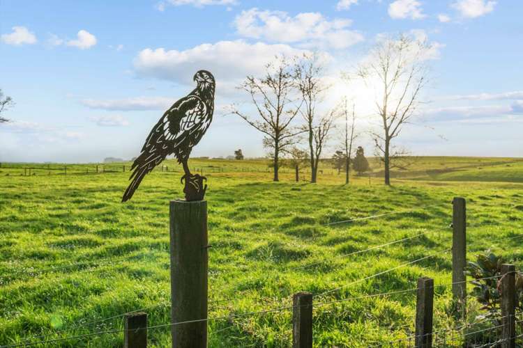 94 Bungard Road Karaka_42