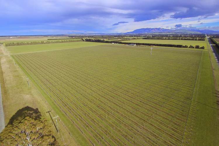 55 Darnley Road Amberley_19