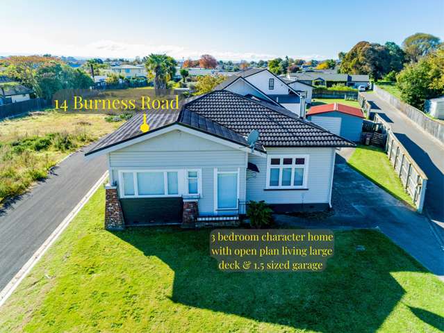 14 Burness Road Greenmeadows_2