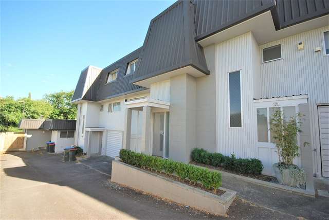 29E Amy Street Ellerslie_1