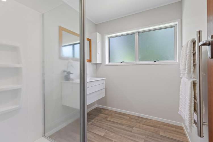 53 Carlton Street Bellevue_13