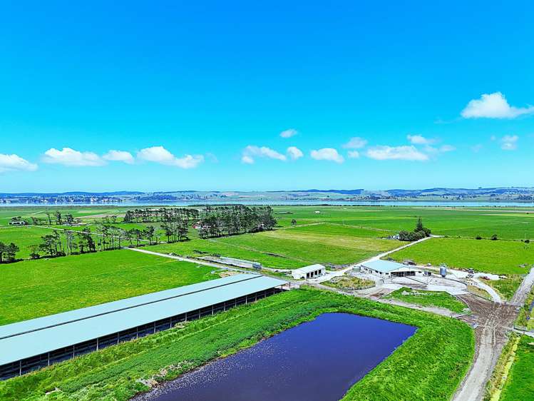 331 Simpson Road Ruawai_17