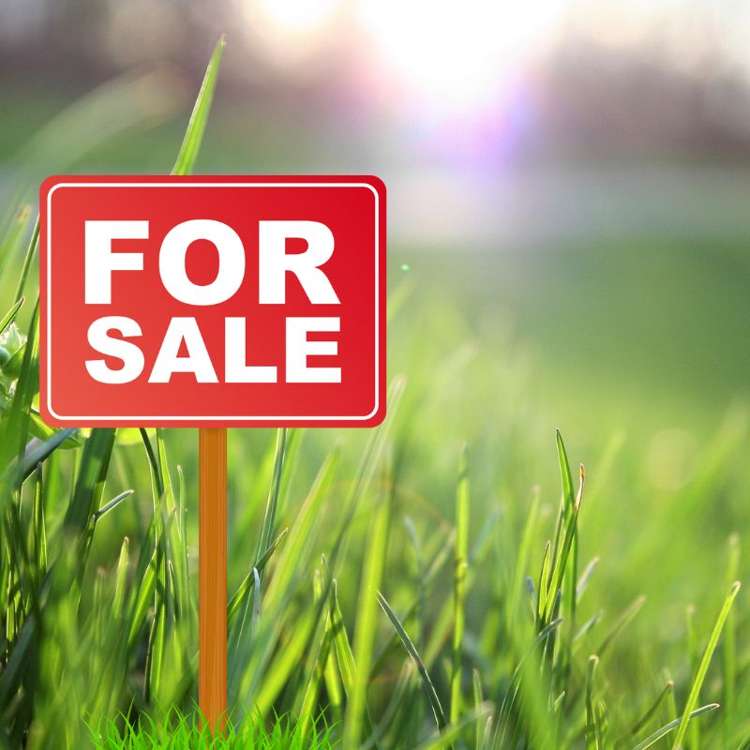 32 EVERGREEN PARADE Rosehill_1