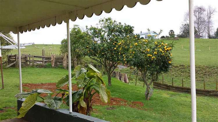 197 Karakariki Road Whatawhata_14