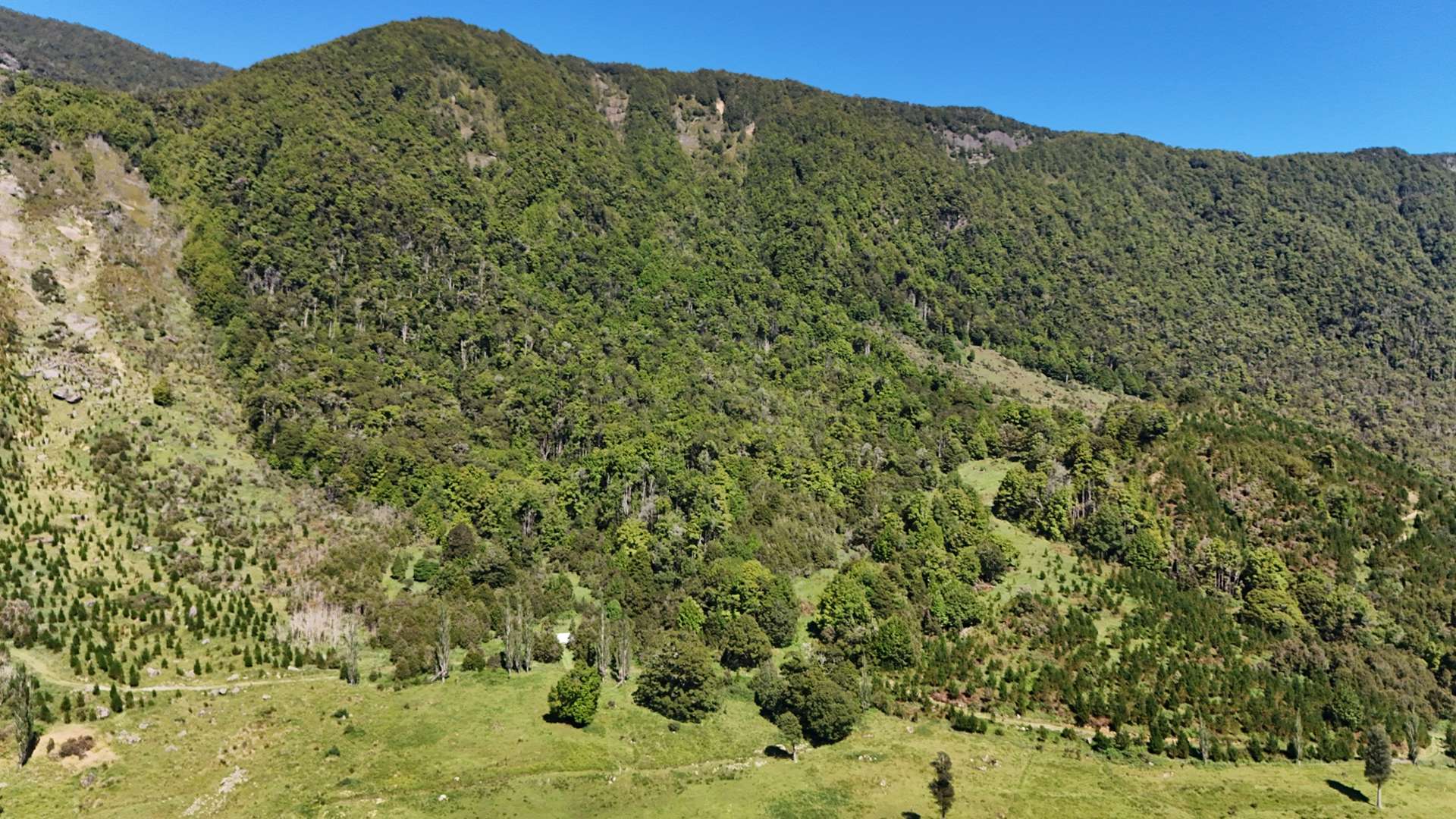 Tutaki Road South Murchison_0