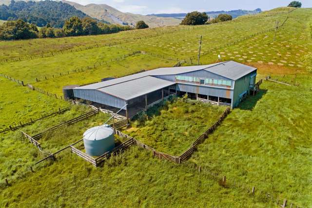 Lot Lot 2/229 Rangikohua Road Tolaga Bay_1