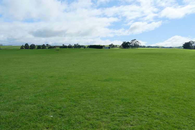 63 Hamilton Road Dannevirke_1