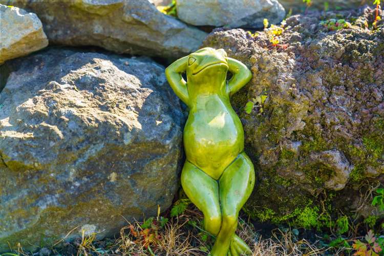 73 Rodney Street Wellsford_22