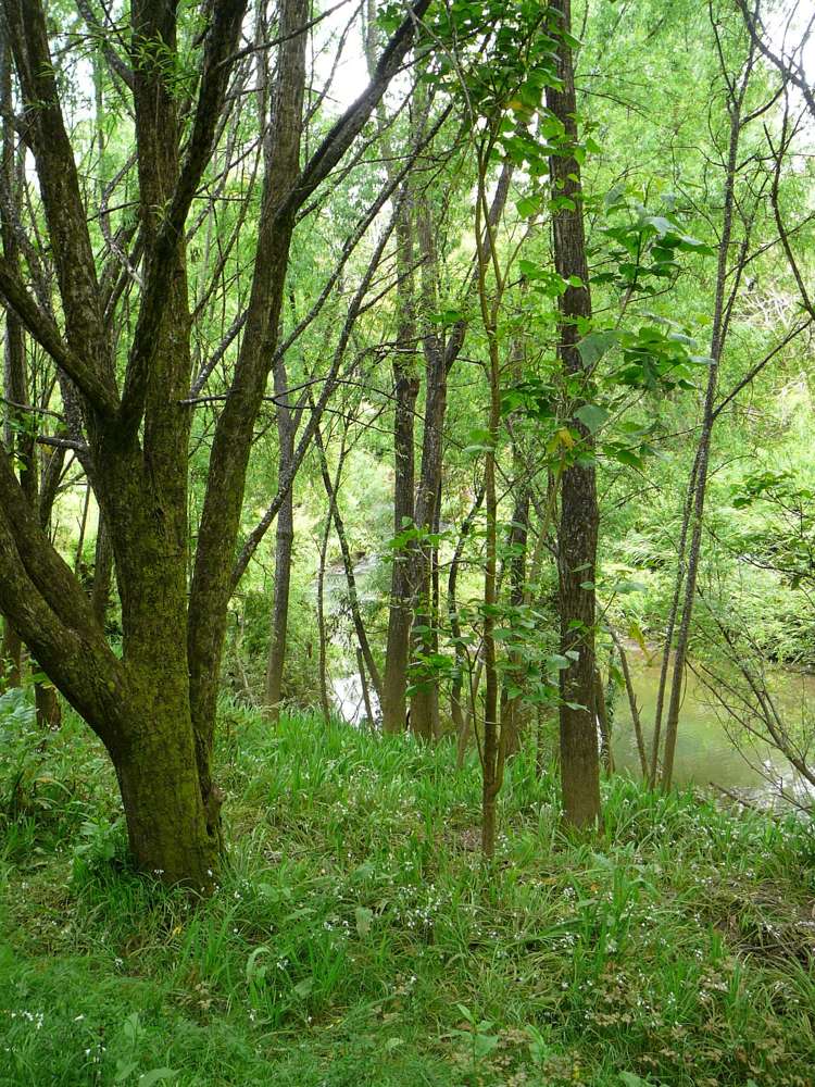 1314 Oruru Road Peria_13