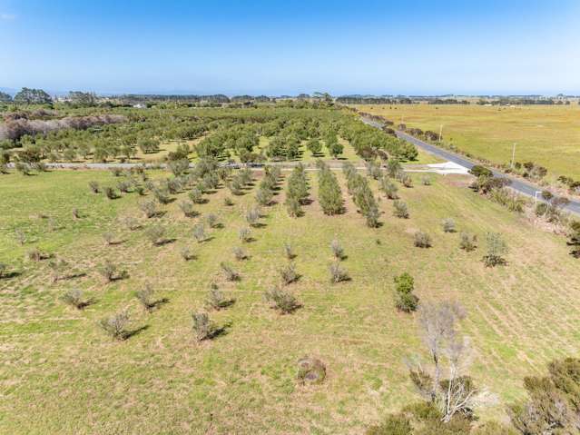 1426A Inland Road Karikari Peninsula_2