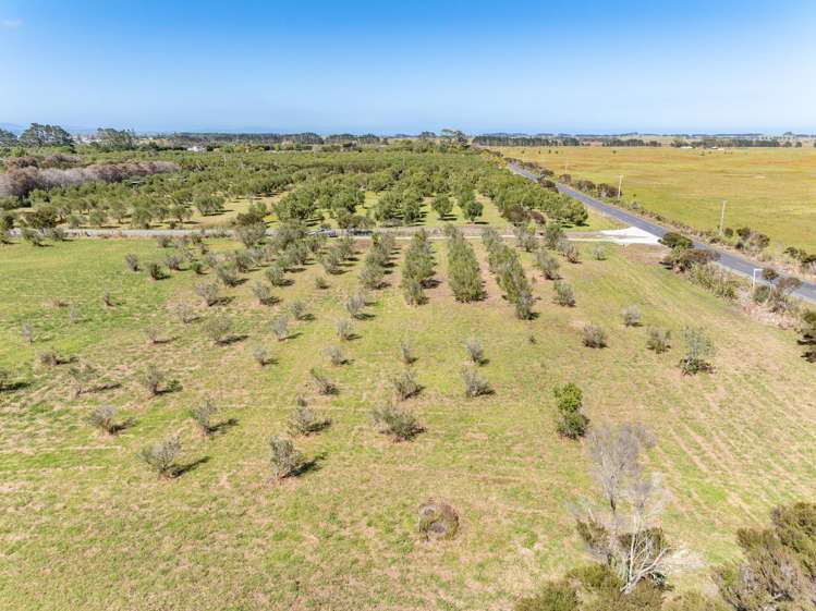 1426A Inland Road Karikari Peninsula_2