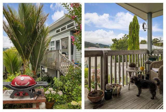 208B Tony Avenue Thames_2