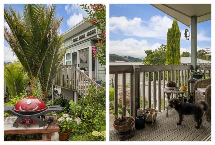 208B Tony Avenue Thames_2