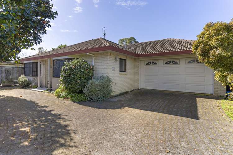 22b Sunrise Avenue Mount Maunganui_17