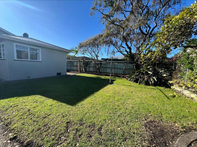11 Nikau Street Tawhero_10