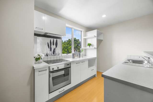 49 Albionvale Road Glen Eden_3