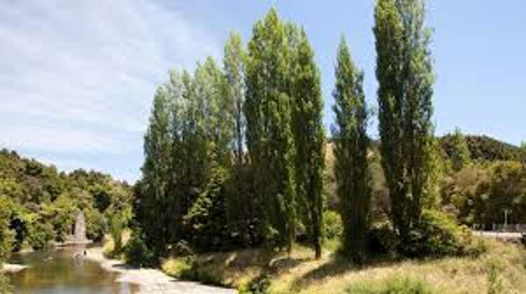 Address withheld Awarua_4