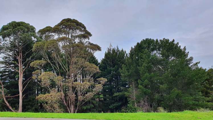 41 Ara Hills Drive Wainui_25