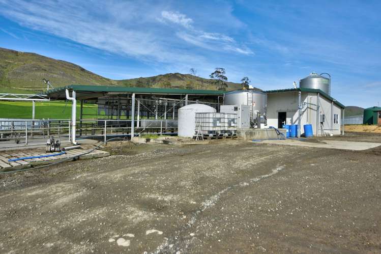 1317 Waimea Valley Road Nine Mile_4