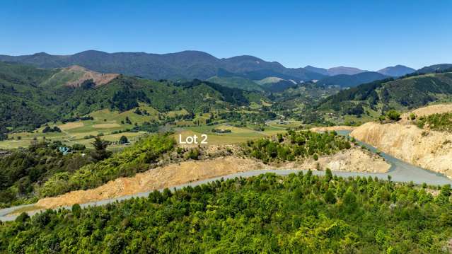 Cable Bay Road Hira_2