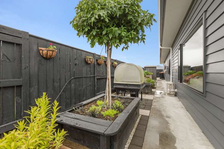 302 Cambridge Avenue Ashhurst_5